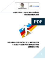 Modulo Orientacion Metodologica PDF