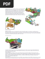 Opcional - Fabricação do Papel