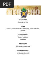 La Delicuencia Juvenil en La Republica Dominicana