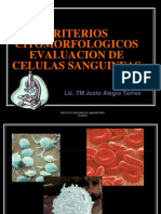 Criterios Citomorfologicos LP - IPLC PDF