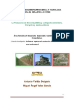 Libro Sobre Biocombustibles y Seguridad Alimentaria PDF