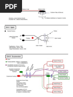 Cranial Nerve Pathways