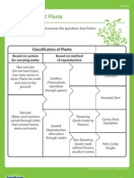 Classification of Plants