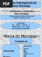 Baixo Mondego