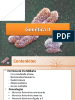24.-Genética II 2013 final