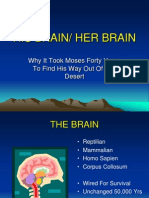 HIS_BRAIN_RevRD.ppt