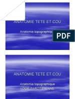 Anatomie Tete Et Cou - Toppographique
