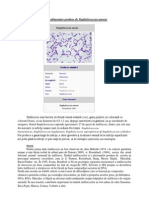 Toxiinfectii Alimentare Produse de Staphylococcus Aureus