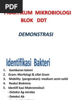 Download Prakt Mikro Ddt by Selvy Anriani Gaspersz SN147790665 doc pdf
