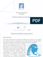 Producciones Guadalinfo