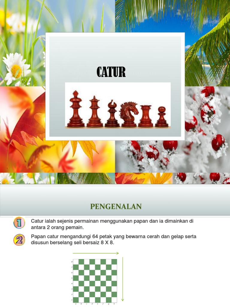 catur