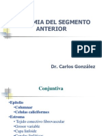 Anatomia de Conjuntiva, Esclera y Cornea