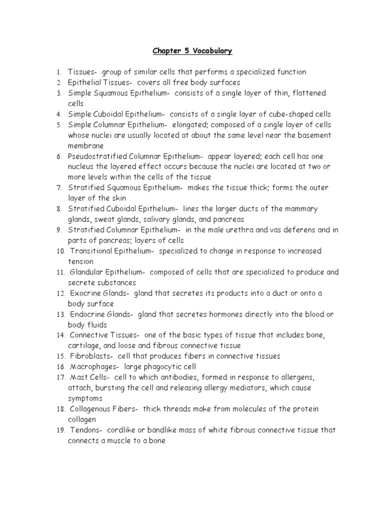 Chapter 5 Vocabulary | Epithelium | Connective Tissue