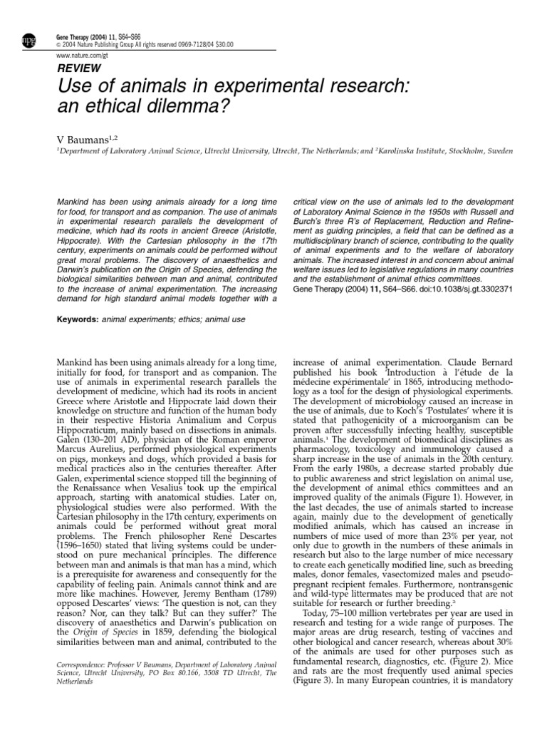 Animal dilemma essay 07 picture