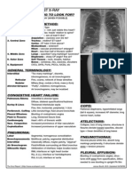 Scut Report: Chest X-Ray