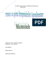 Proiect Micotoxine