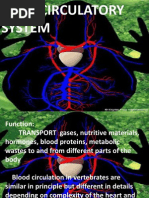 Frog Dissection: Skeletal and Muscular Systems | Vertebra | Skull