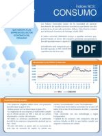 10.Ficha Técnica Índice CONSUMO