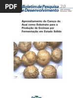 EMBRAPA - Aproveitamento Caroço Açaí BPD30_2009