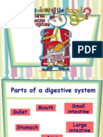 Digestive System