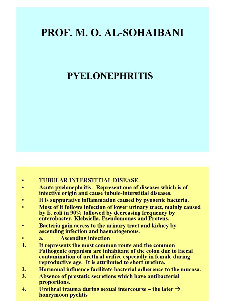 Pyelonephritis | PDF