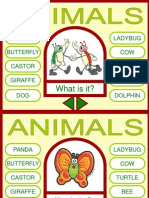 Identify Animals - Panda, Butterfly, Ladybug, Cow, Turtle, Bee, Castor, Giraffe, Dog, Dolphin