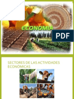 Sectores de las actividades económicas