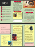 06 Jesus e o Encontro