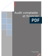 Audit Et Revision Des Comptes