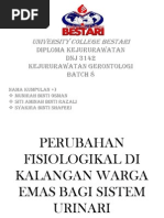 Download perubahan fisiologi di kalangan warga emas bagi sistem urinari by Nor Qalesya SN147973568 doc pdf