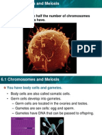 Gametes Have Half The Number of Chromosomes That Body Cells Have