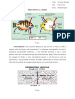 Osmoregulation