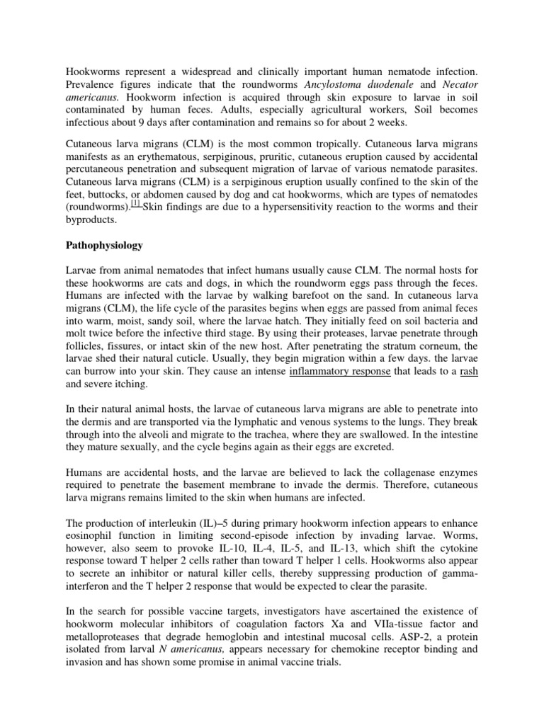 Creeping Eruption PDF Clinical Medicine Immunology