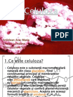 Celuloza