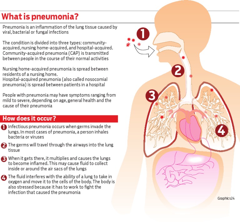 what-is-pneumonia-pdf