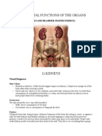Oriental Diagnoses - Kidneys and Bladder