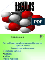 Biomoleculas Hidratos de Carbono 1228178331882568 8