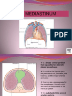 The Mediastinum