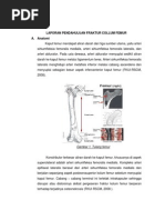 Download LP Fraktur Kollum Femur by Shinta Rosi SN148055131 doc pdf