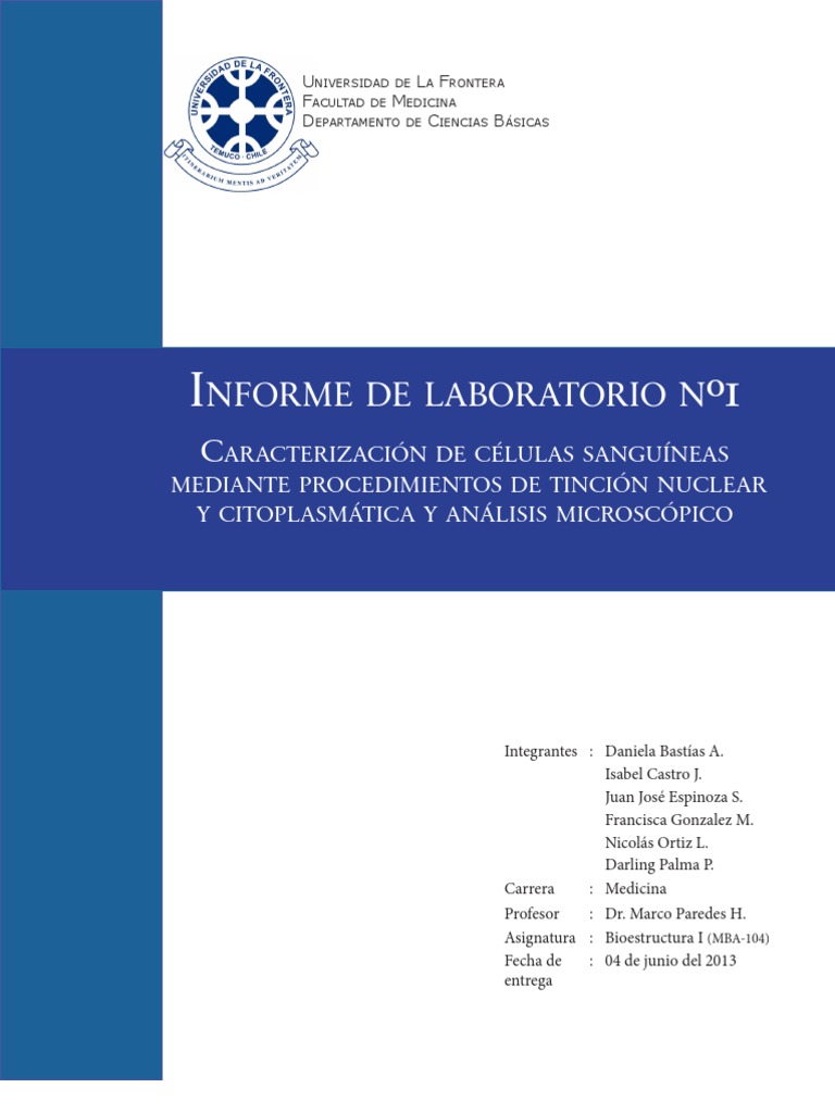 Informe laboratorio Nº1