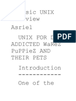 A Basic UNIX Overview