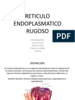 Reticulo Endoplasmatico Rugoso