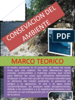 Contaminacion Ambiental.pptx Barreto Castillo