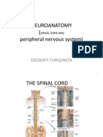 Neuroanatomy Pns 2013