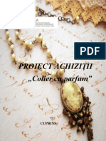 Proiect Achiziții