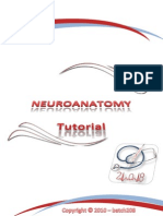 Neuro Anatomy Toutrial[1]