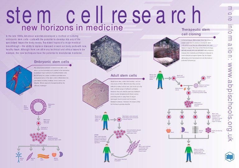 Stem Cell Culture Pdf – ATCC Stem Cell Culture Guide – CAEQVO