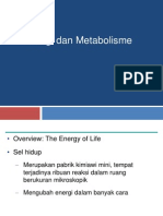 Materi 2. Energi Dan Metabolisme