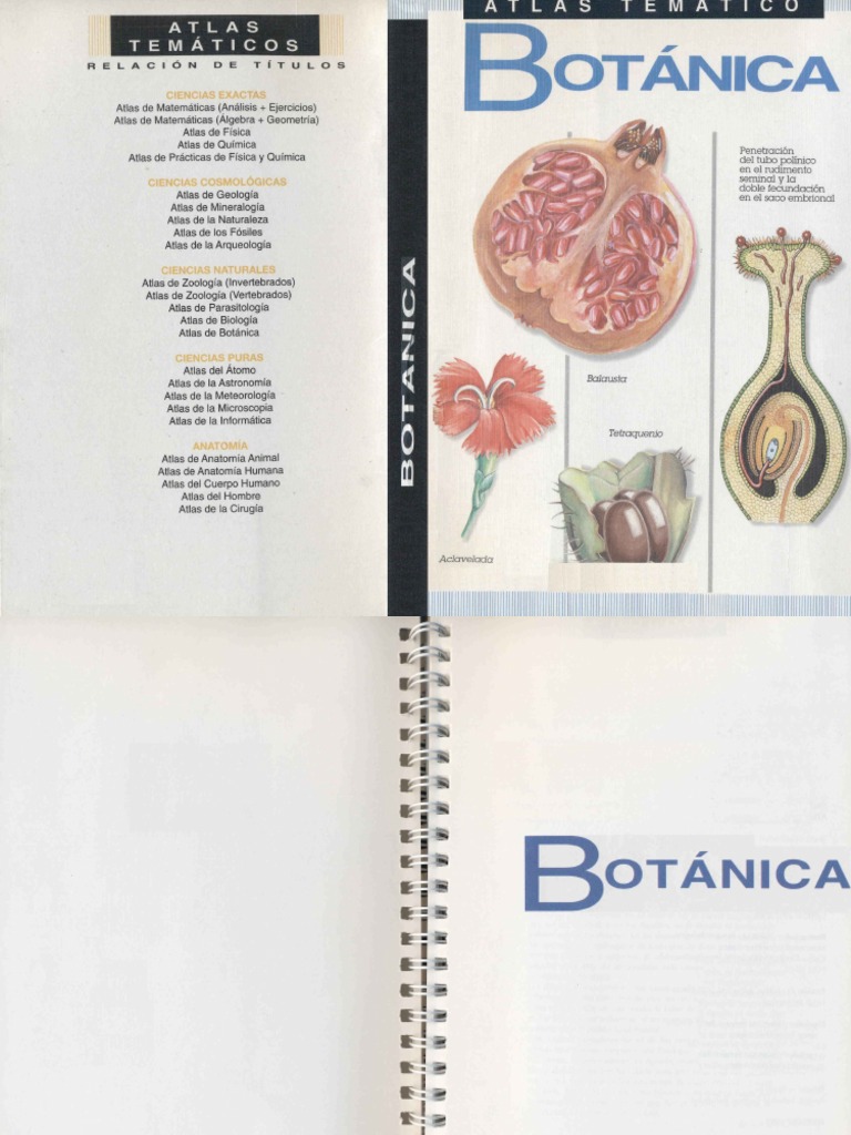 Atlas Tematico de Botanica | PDF