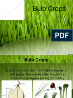 Bulb Crops: Onion, Garlic